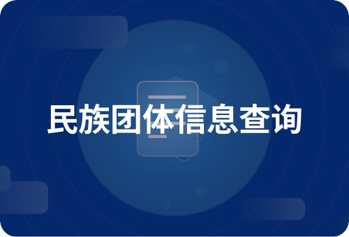 民族团体信息查询