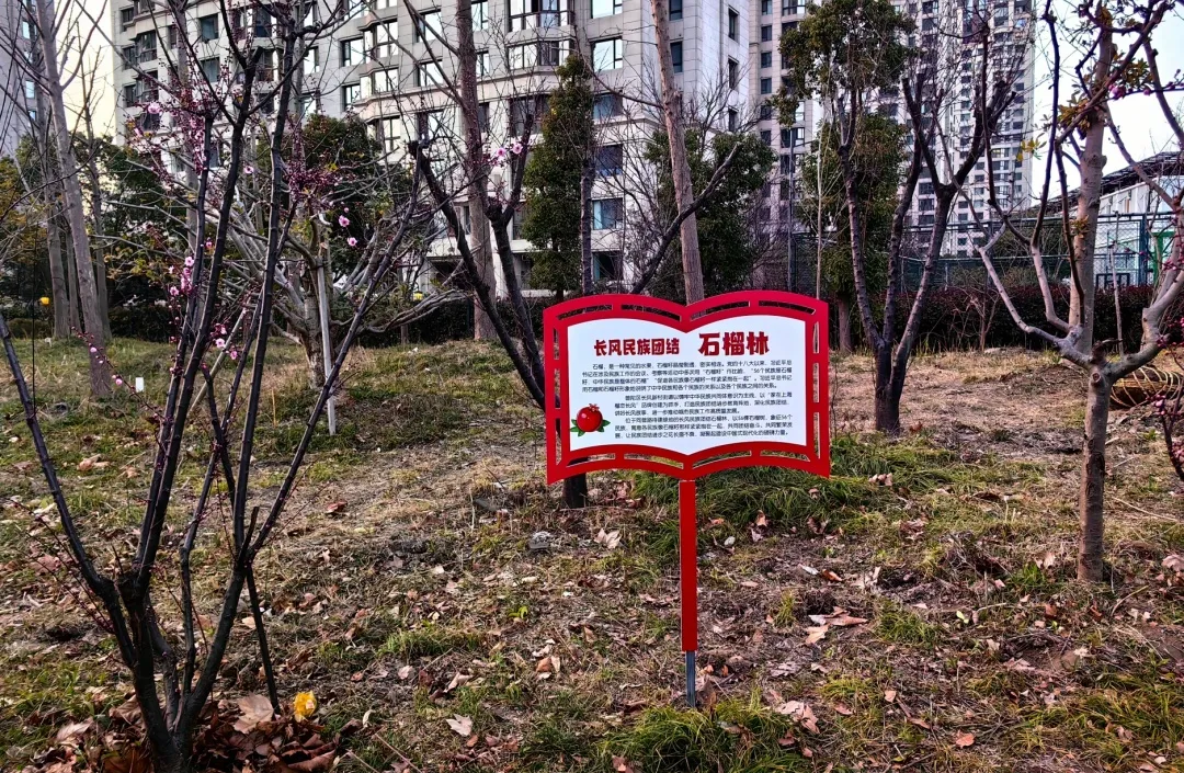 普陀6.jpg